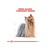 Royal Canin 法國皇家 yorkshire terrier 約瑟爹利犬配方