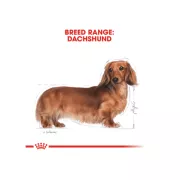 Royal Canin 法國皇家 dachshund 臘腸犬配方