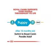 Royal Canin 法國皇家 poodle junior 貴婦幼犬配方 3kg