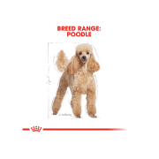 Royal Canin 法國皇家 poodle 貴婦犬配方 1.5kg