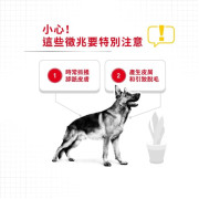 Royal Canin 法國皇家 dermacomfort 大型犬皮膚敏感配方 12kg