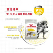 Royal Canin 法國皇家 dermacomfort 大型犬皮膚敏感配方 12kg