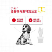 Royal Canin 法國皇家 dermacomfort 中型犬皮膚敏感配方