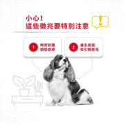 Royal Canin 法國皇家 dermacomfort 小型犬皮膚敏感配方