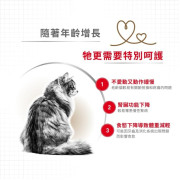 Royal Canin 法國皇家 – 高齡貓12+配方 2kg