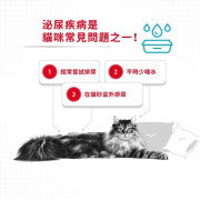 Royal Canin 法國皇家 – 成貓防尿道石配方 2kg