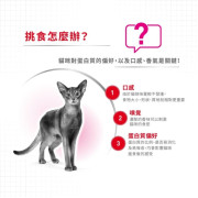 Royal Canin 法國皇家 AROMA – 成貓超級香味配方 2kg