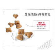 Royal Canin 法國皇家 – 成貓超級挑咀配方 2kg