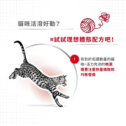 Royal Canin 法國皇家 – 成貓Fit配方 2kg