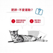 Royal Canin 法國皇家 – 成貓減肥配方 1.5kg