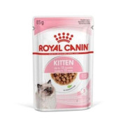 Royal Canin 幼貓營養主食濕糧 85g (jelly啫喱)