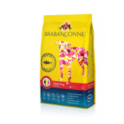 Brabanconne 爸媽寵 – 五種魚無穀物配方大型犬成犬 10KG